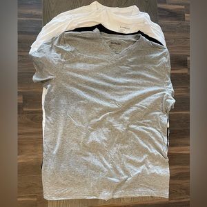 *NWOT* 5 Men’s Express V-Neck T-Shirts